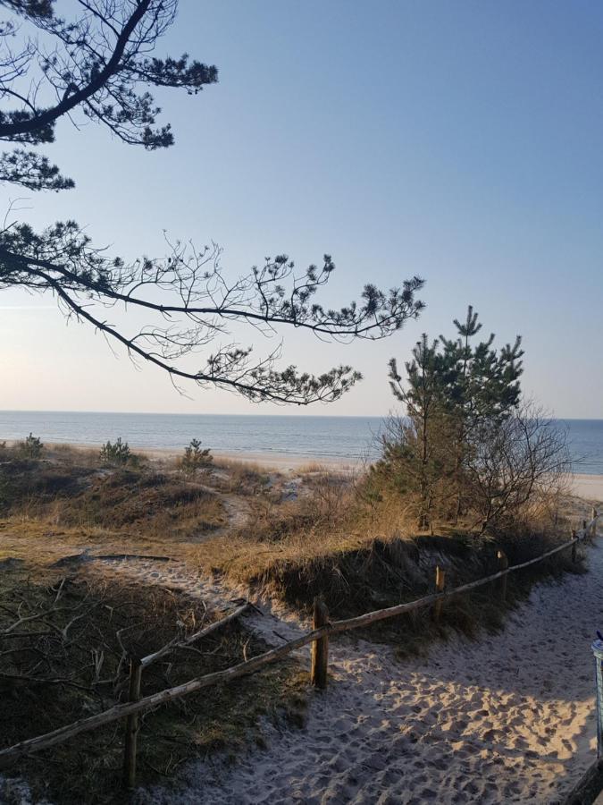 Pokoje Goscinne Motylek Dźwirzyno Kültér fotó