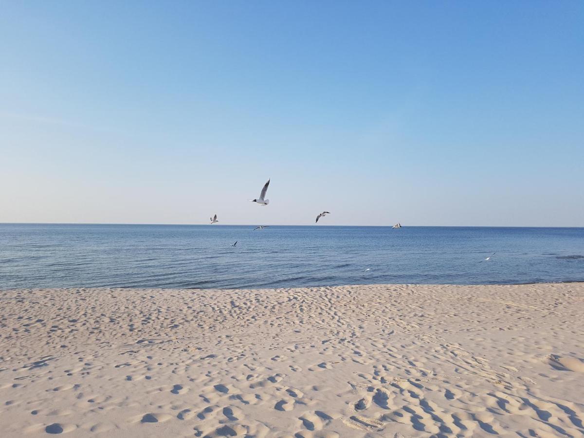 Pokoje Goscinne Motylek Dźwirzyno Kültér fotó